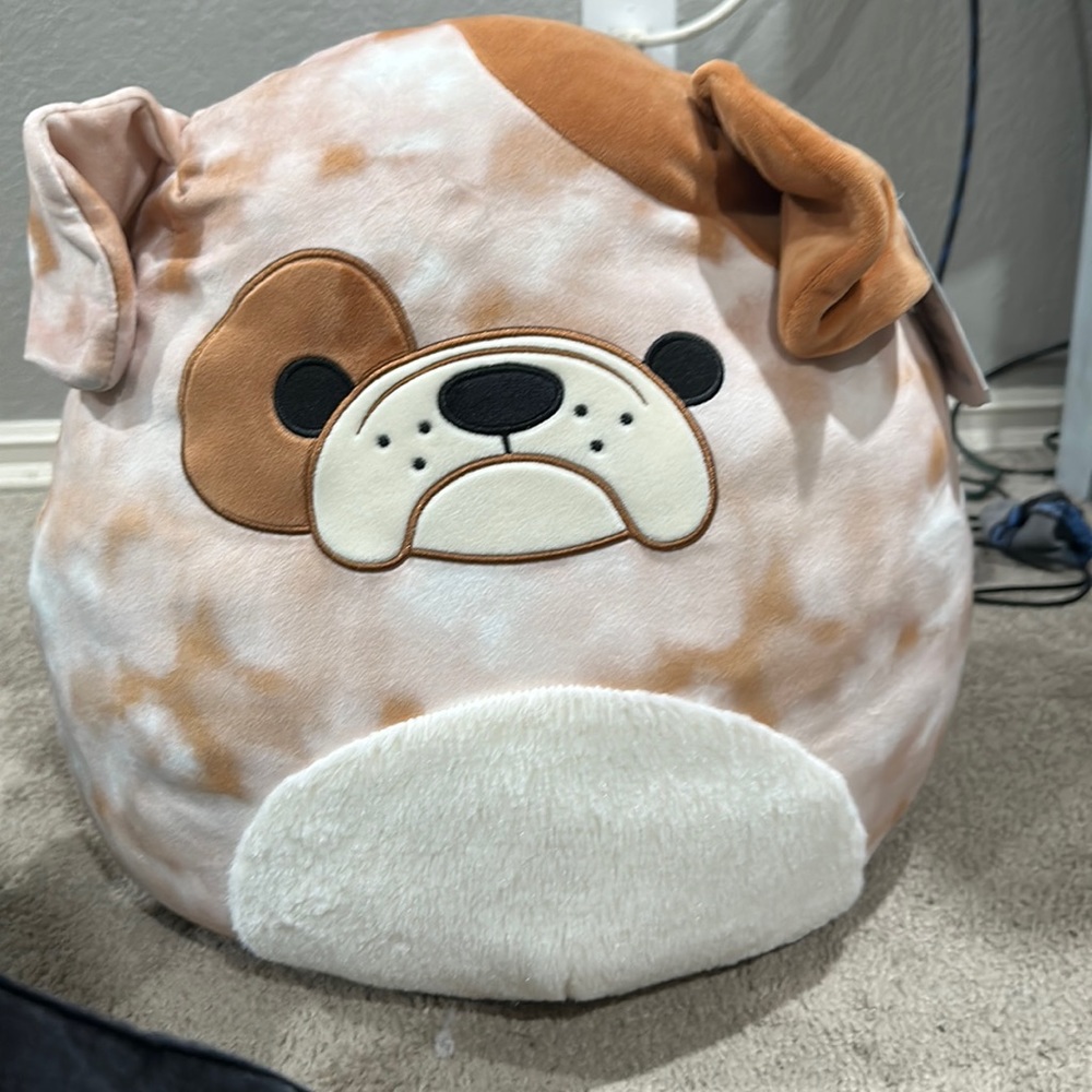 Brink the dog